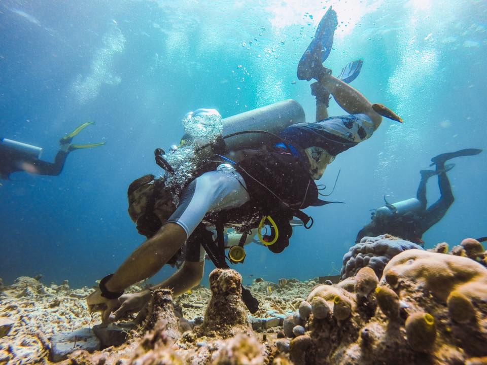 Planting coral on a reef is so much fun.